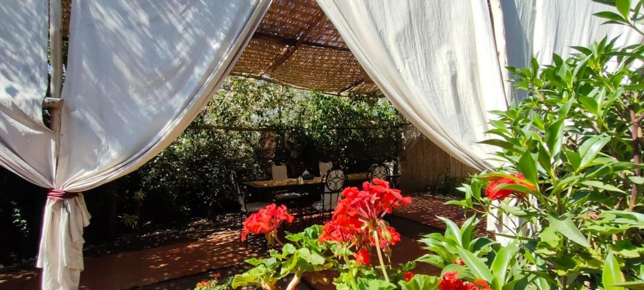 Dar Tadout ξενώνας Aït Ourir Εξωτερικό φωτογραφία